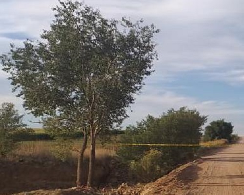 Identifican al par de hombres ejecutados en brecha que conduce al campo 2A