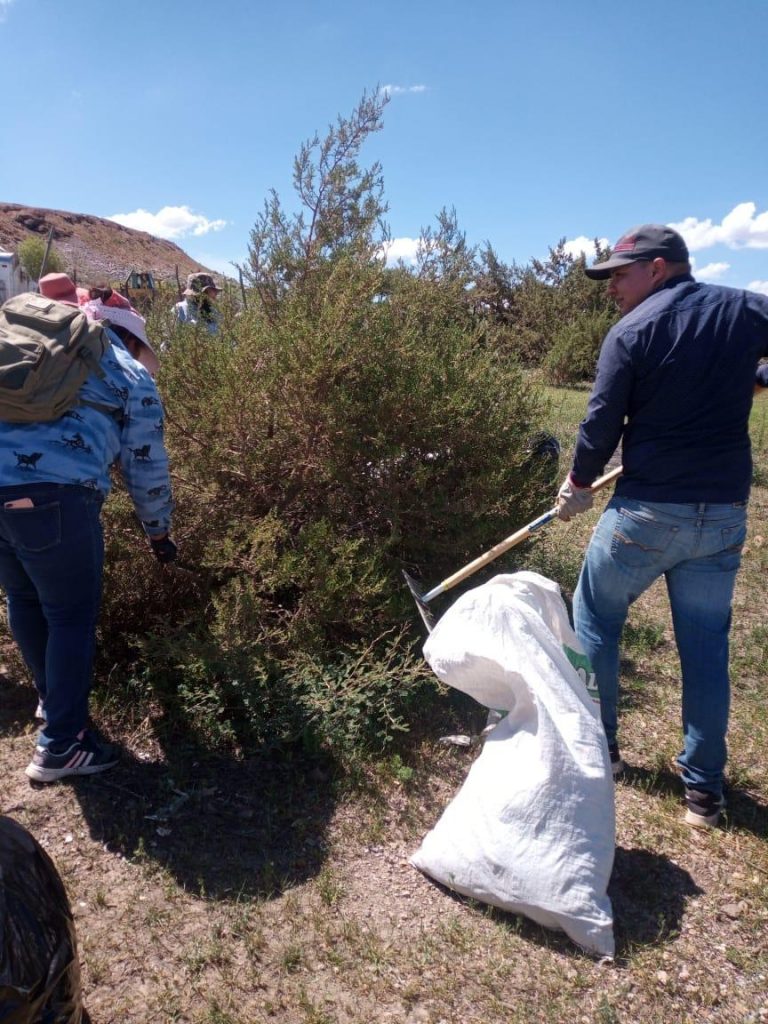 Empleados temporales en Cuauhtémoc han recolectado 200 toneladas de basura