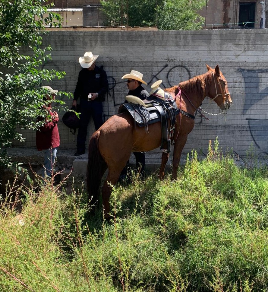 Sorprende Policía Montada a par de menores drogándose en Arroyo San Antonio