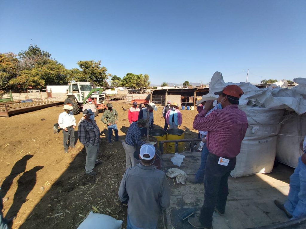 Capacitan a productores en elaboración de alimentos con rastrojo