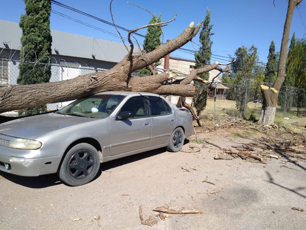 Fuertes vientos provocan múltiples llamadas de auxilio al 911