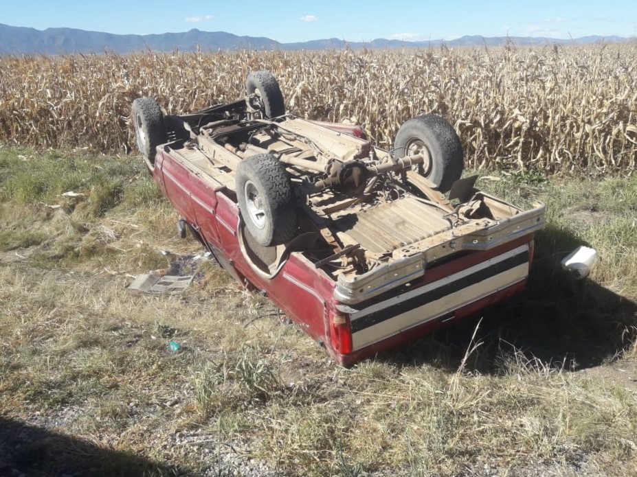 Ebrio vuelca en campo menonita