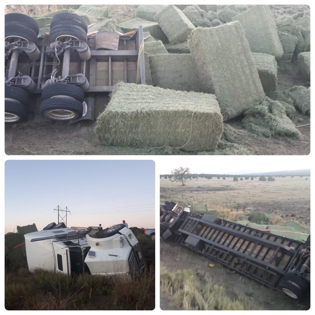 Vuelca tracto camión cargado de pacas de pastura