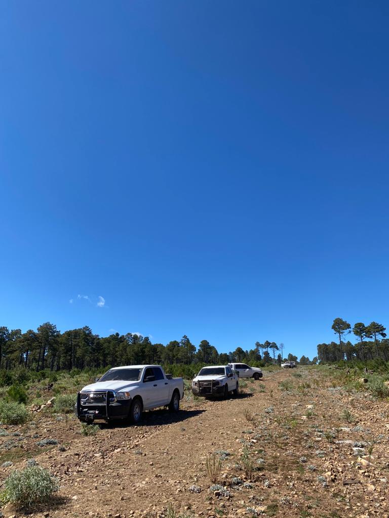 En Madera asegura AEI media tonelada de droga, destruyen pista de aterrizaje y un campamento