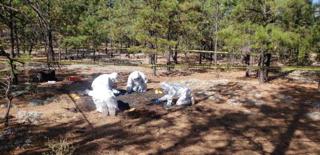 Aseguran restos óseos en el municipio de Madera