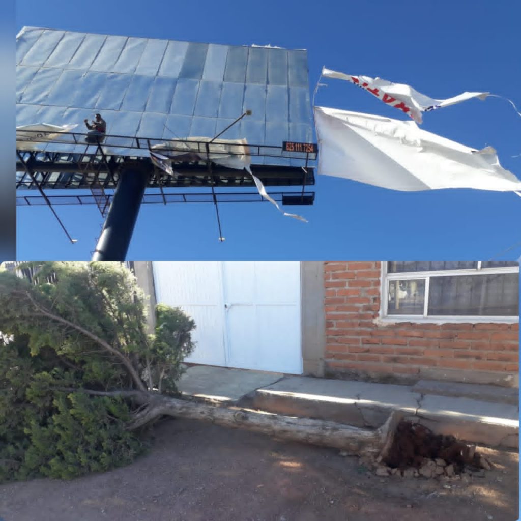 Un árbol derribado y un espectacular dañado fue el saldo del fuerte viento