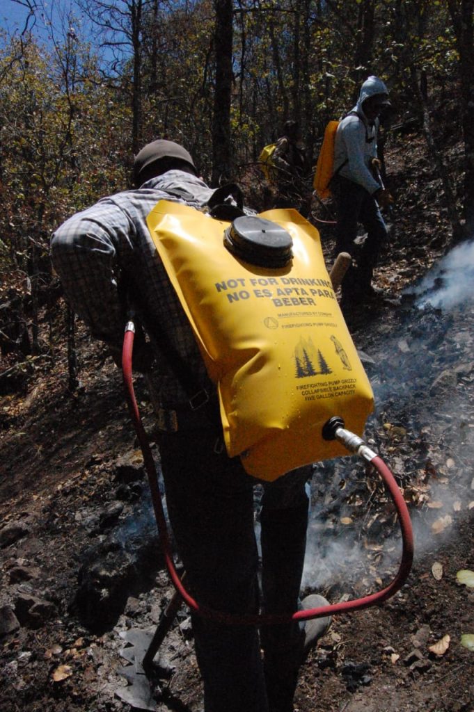 Incendios acaban con más de 78 mil hectáreas forestales; siguen activos uno en Guerrero y otro en Balleza