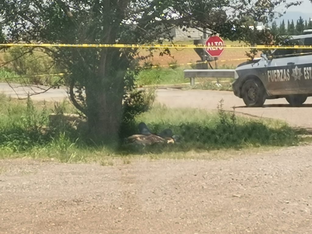 Localizan otro ejecutado en la salida a La Junta