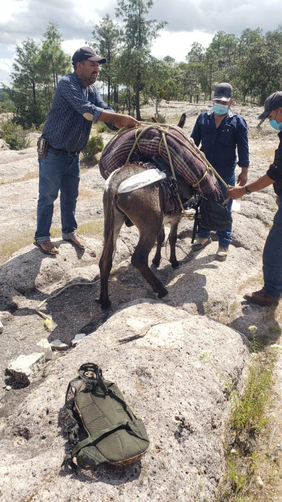 Asesinan a hombre en Urique y avientan su cadáver a barranco