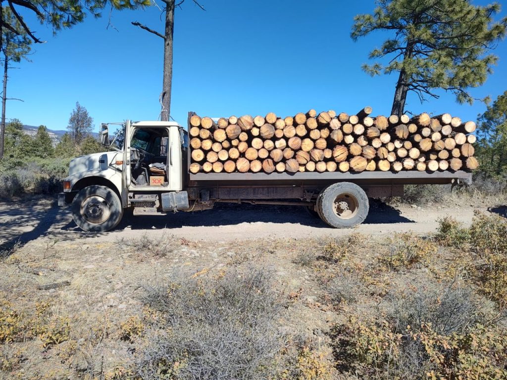 Aseguran camión cargado con madera ilegal en Bocoyna