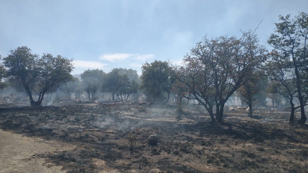 Sofocan bomberos incendio en Casa Colorada