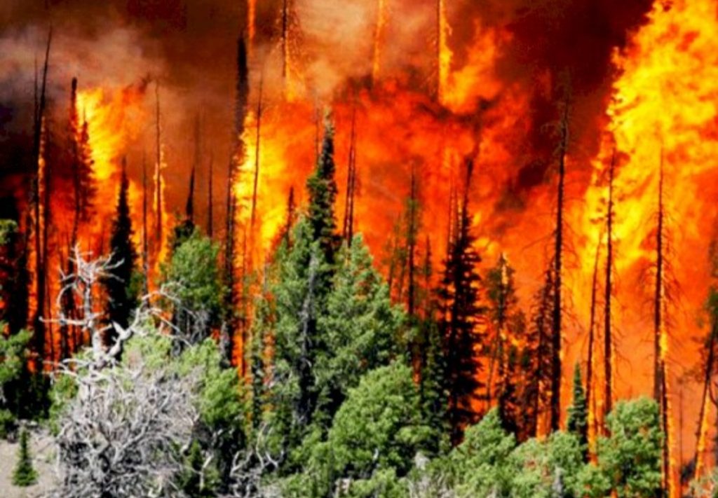 Hay seis incendios forestales activos en Chihuahua