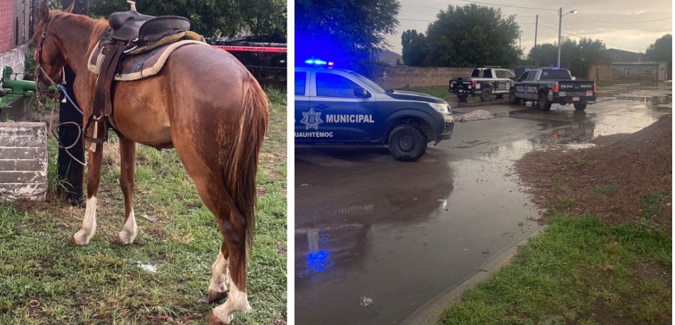 Cae mujer de un caballo en Álvaro Obregón y muere