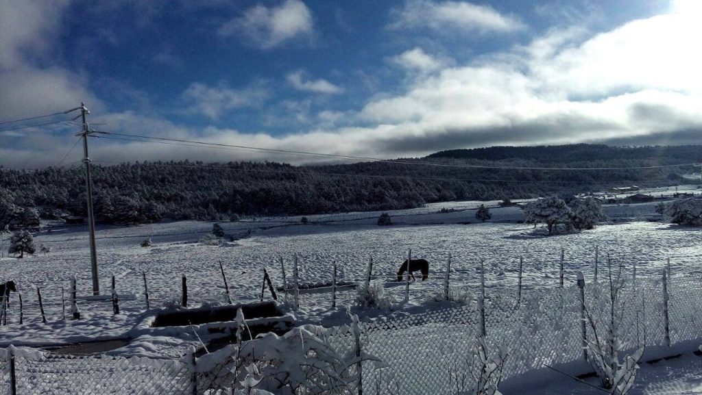 Prevé Protección Civil Estatal probabilidad de nieve y aguanieve para este viernes en zona serrana