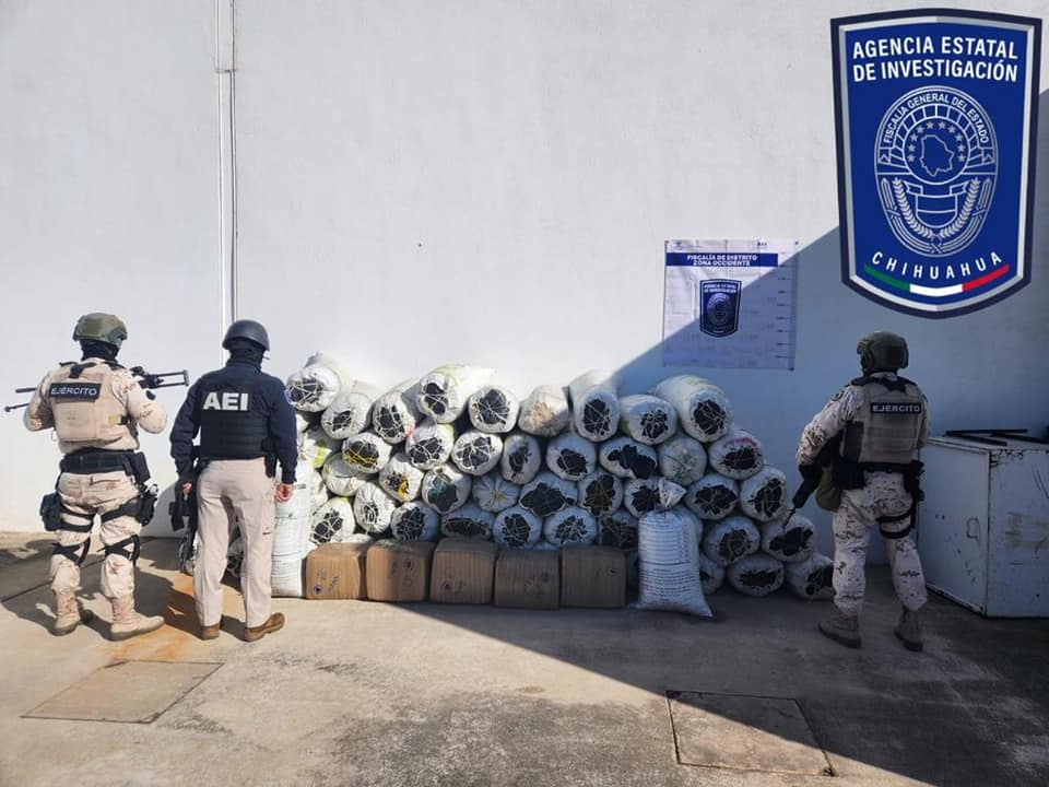 Asegura Operativo Conjunto más de 700 kilos de mariguana en Urique