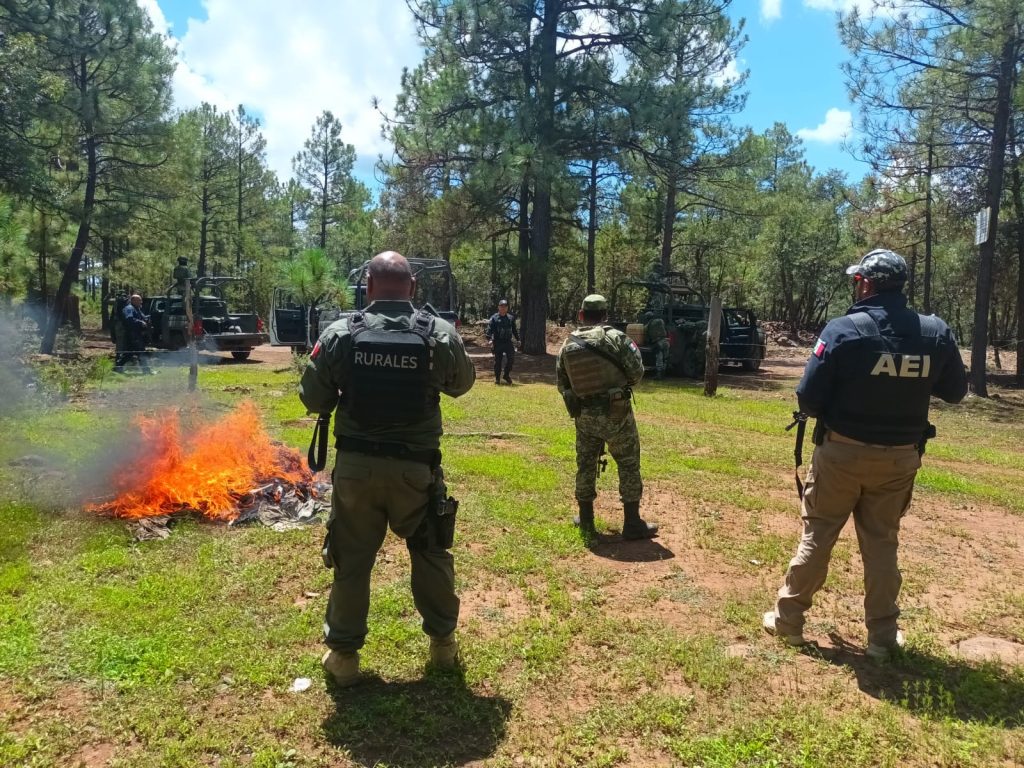 En Madera destruyen campamento de grupos delictivos