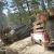 Incendian camiones cargados de madera en Madera