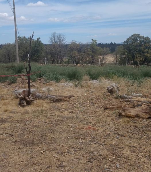 Hallan cuerpo sin vida con huellas de violencia en huerta La Loma en tramo Cuauhtémoc a Carichí