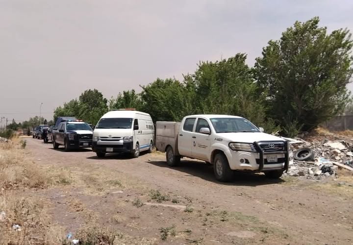 Robaba cobre al interior de huerta; murió electrocutado