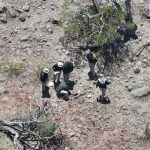 Localizan restos óseos durante rastreo realizado en Temósachic